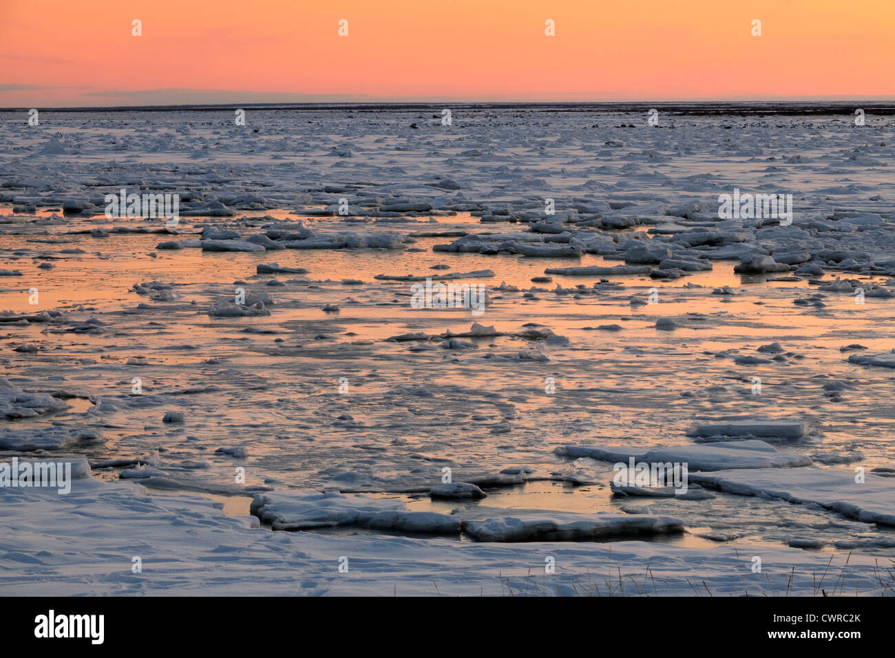 Sunset over Hudson Bay lowlands in early winter, Seal River Heritage