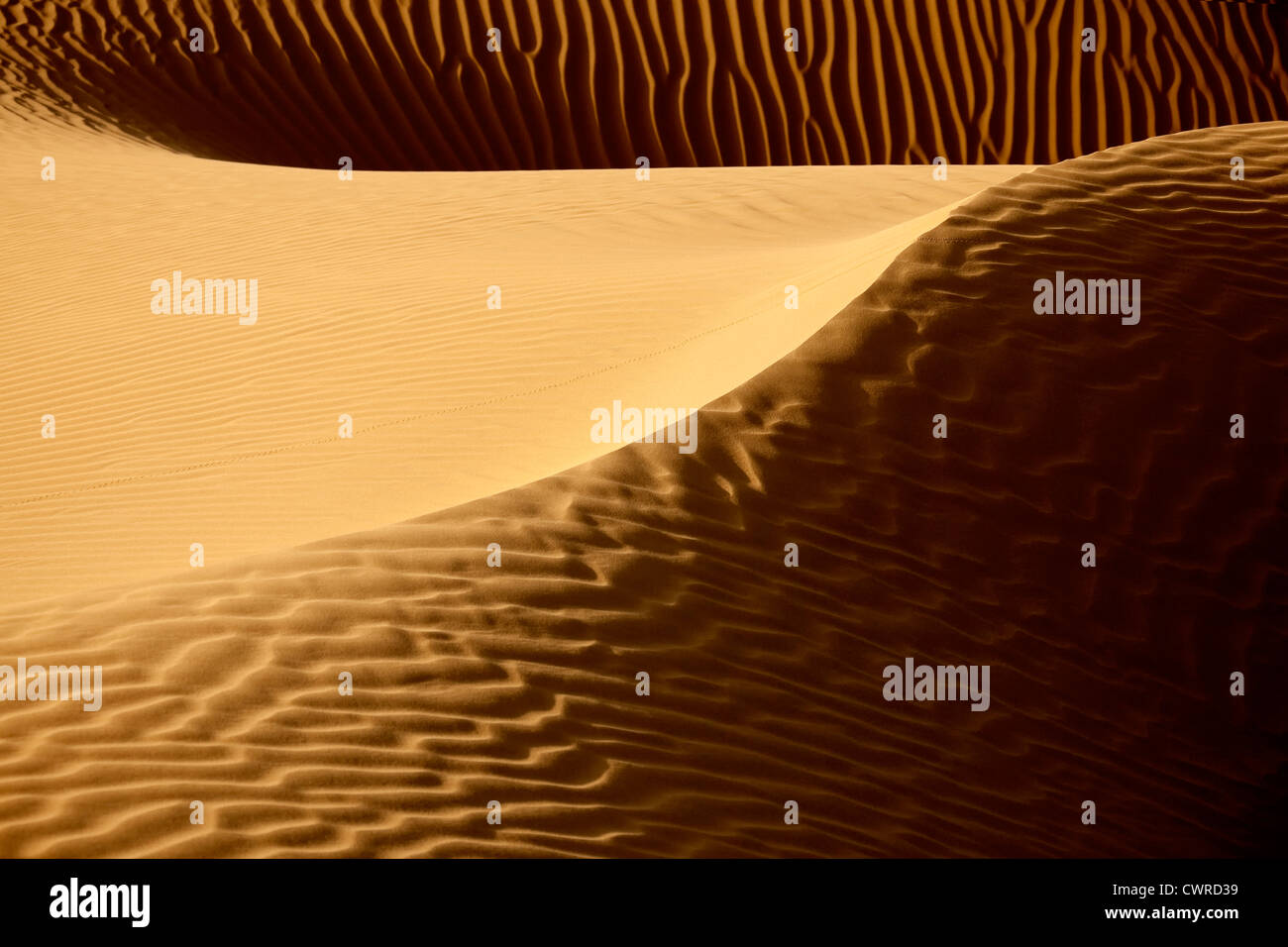 Picture of sand dunes in the Sahara desert of Morocco. Stock Photo