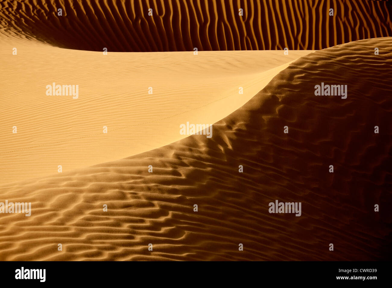 Picture of sand dunes in the Sahara desert of Morocco Stock Photo - Alamy