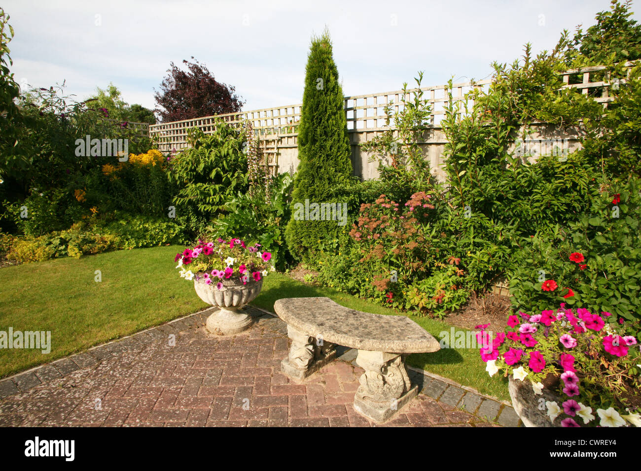 England Dorset Crossways Village Garden showing Petunias trailing over terrace pots Peter Baker