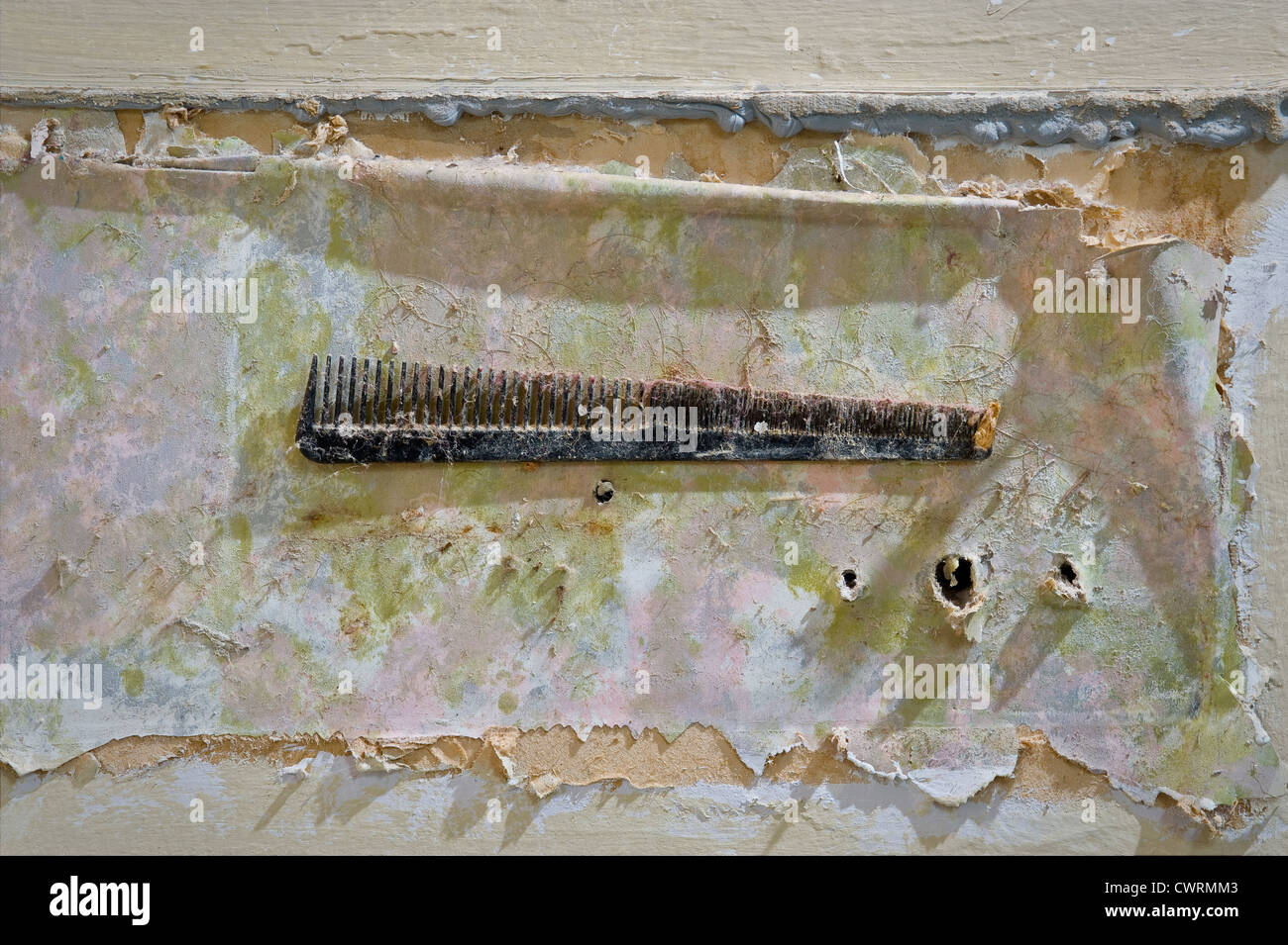 Old Dirty Comb Stuck To Wall With Peeling Wallpaper & Paint Stock Photo