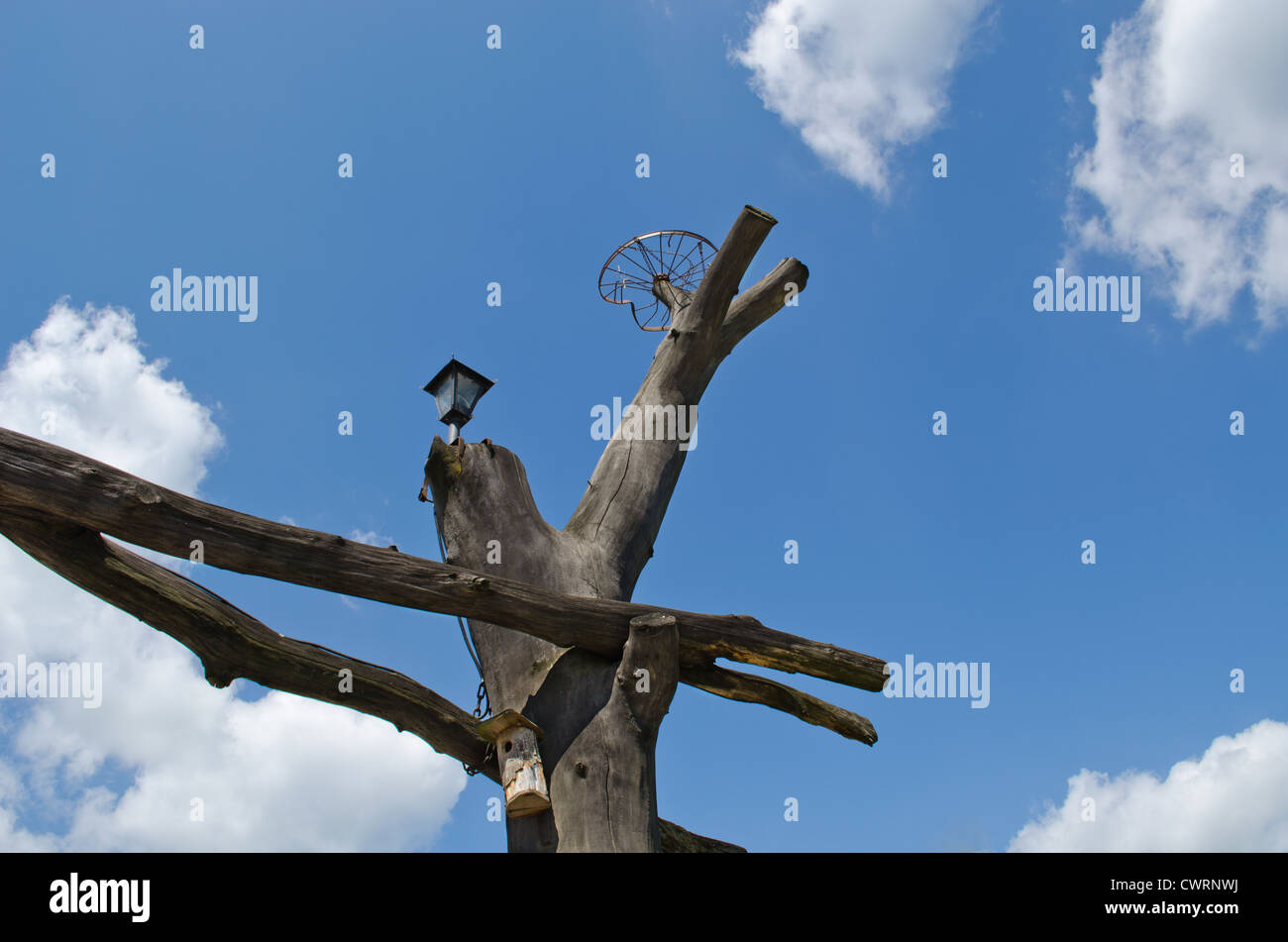Park gate tree trunk branch on blue sky. Bird nesting-box and old  bicycle wheel for stork nest. Stock Photo