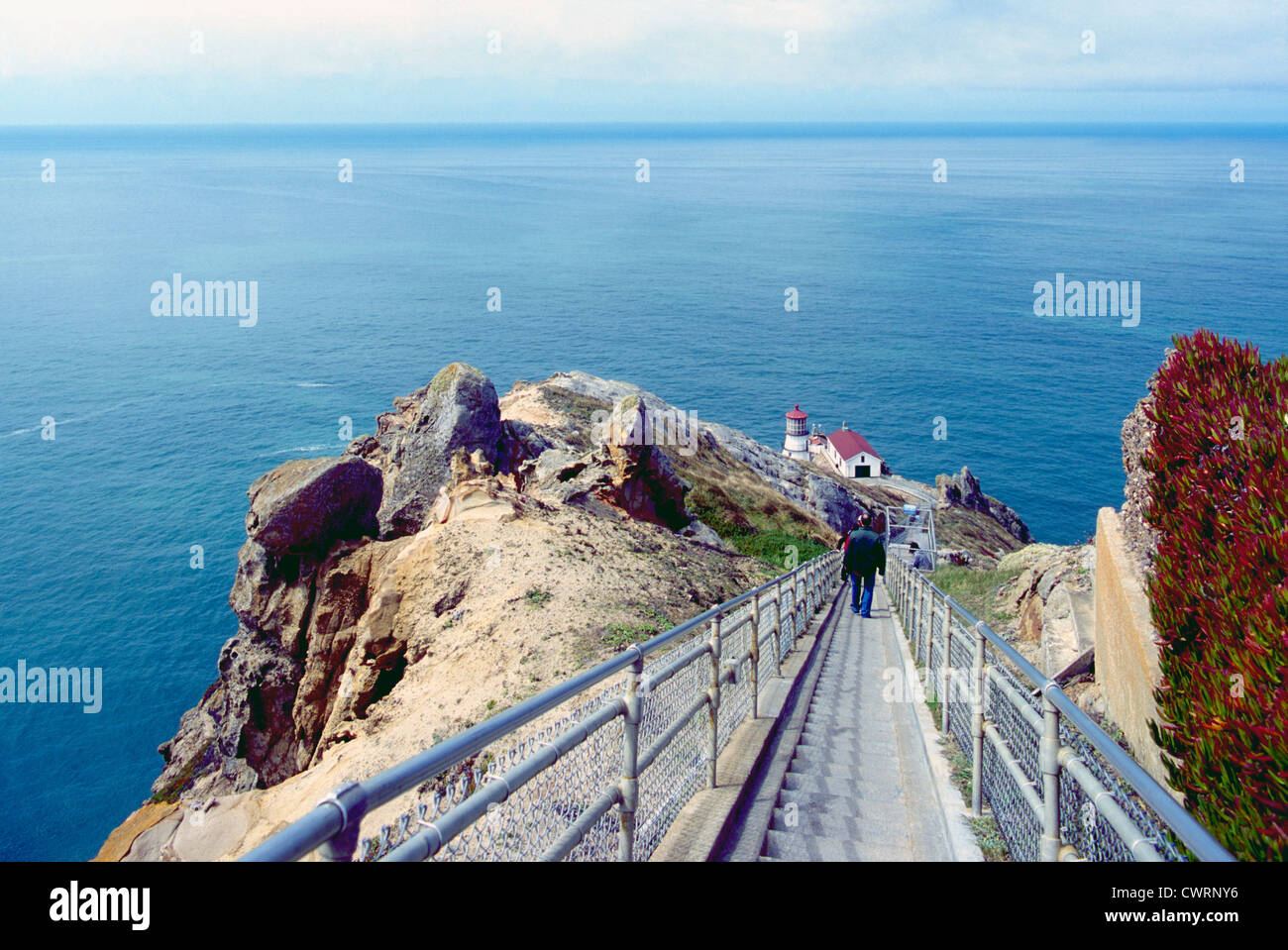 Point Reyes National Seashore, California, USA - looking and walking down 300 Steps / Stairs to Point Reyes Lighthouse Stock Photo