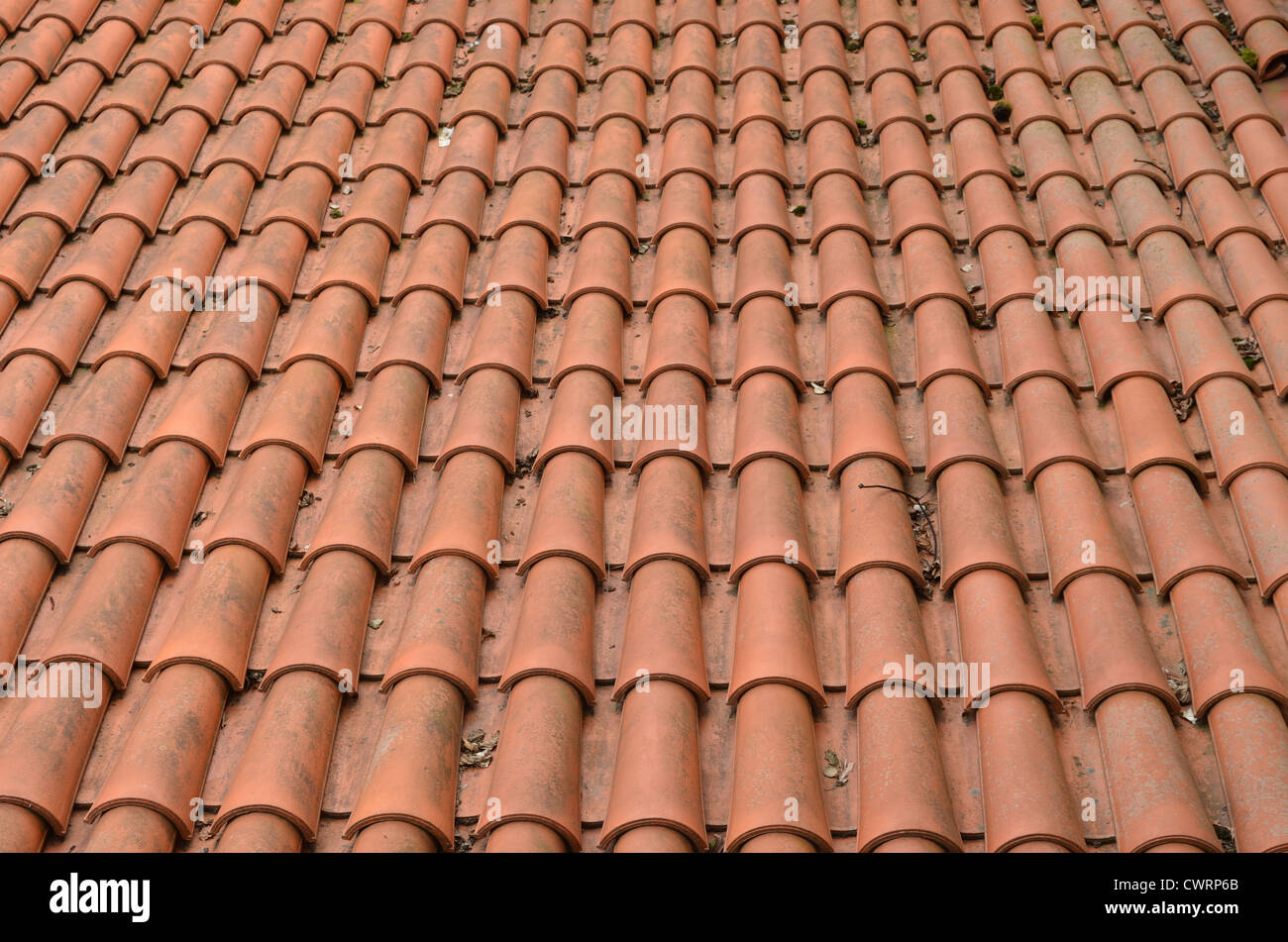 Background of clay round tiles covered roof. Stock Photo