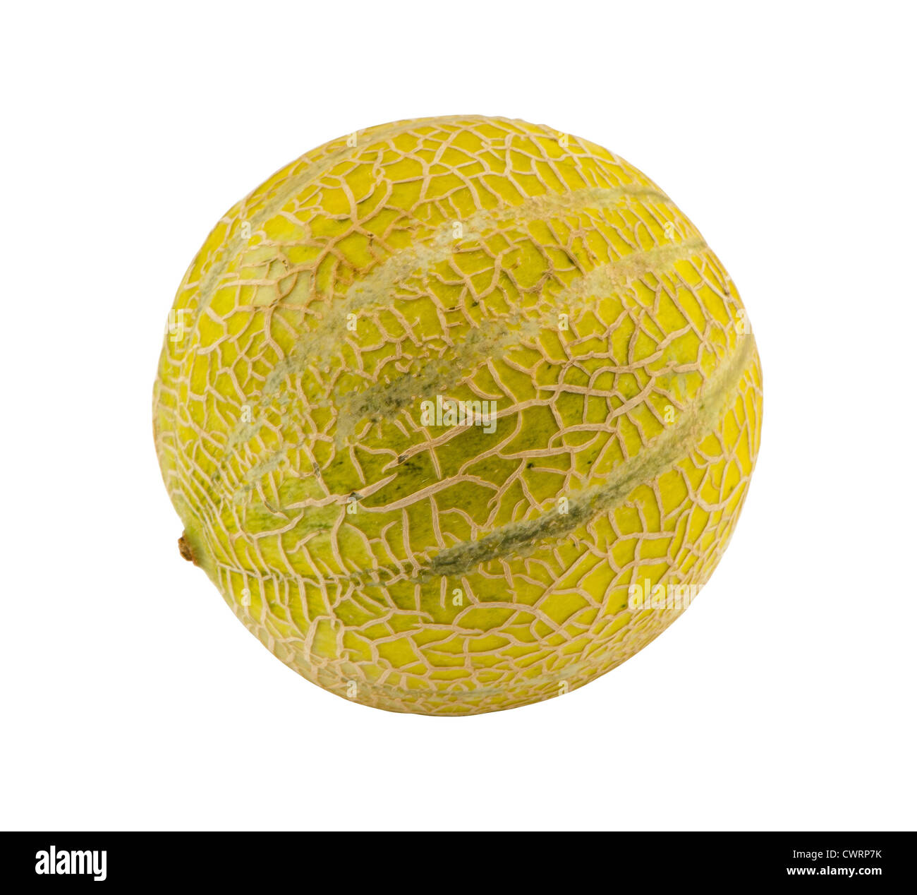 Full round melon with textures on bark isolated on white. Healthy food nutrition. Stock Photo
