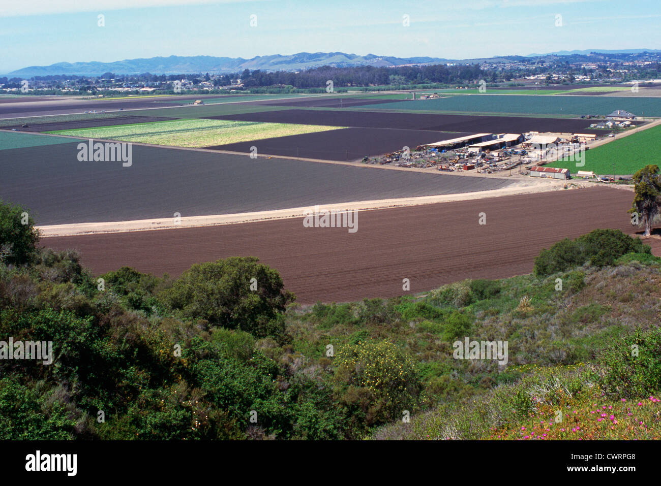 Agricultural Farm Land and Farming Fields near Arroyo Grande, California, USA Stock Photo Alamy