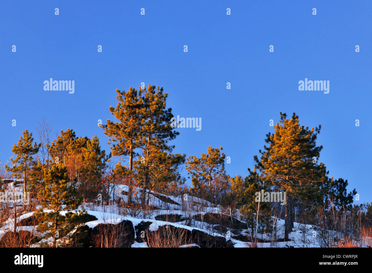 Ontario winter snowy landscapes hires stock photography and images Alamy