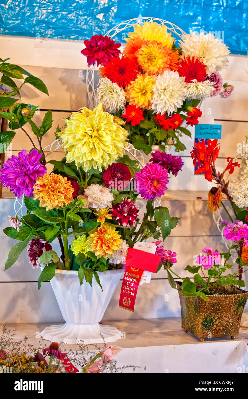 Flower arrangement competition hires stock photography and images Alamy