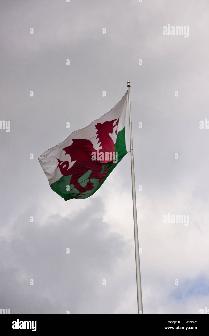 Welsh flag blowing in the wind. Stock Photo