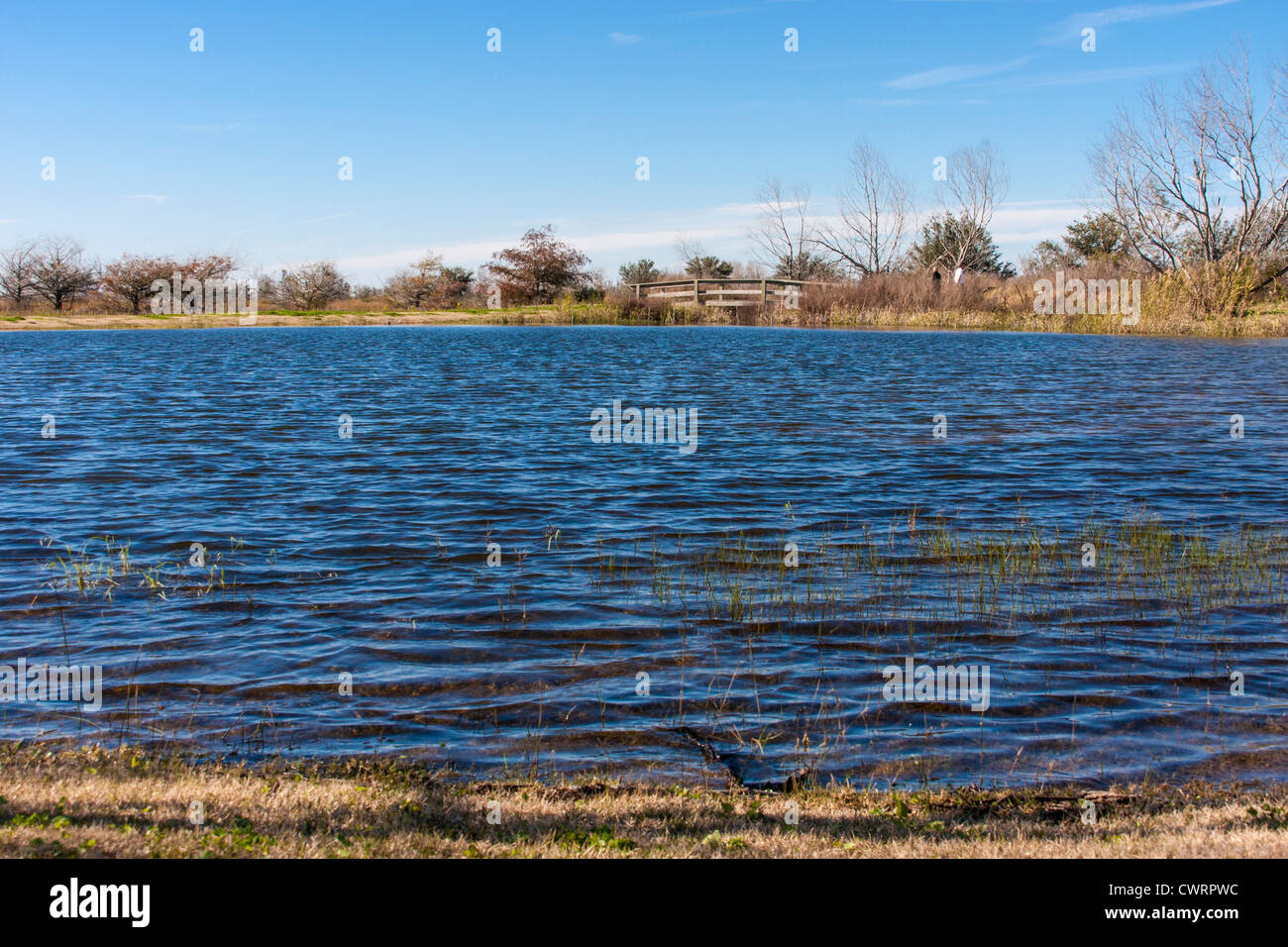 Anahuac National Wildlife Refuge about 16 months after Hurricane Ike. Stock Photo