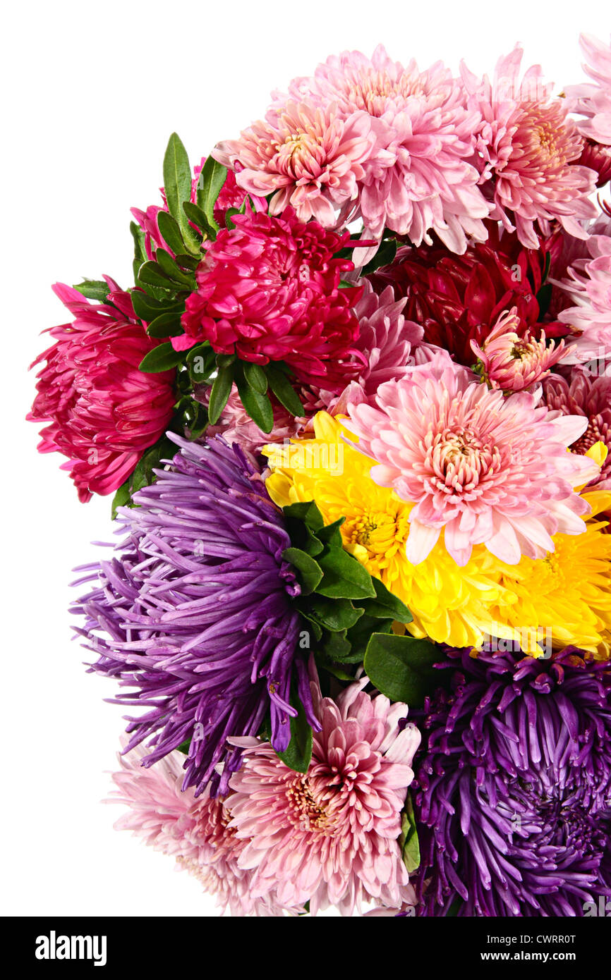 Flowers. Bouquet of chrysanthemums and asters isolated on white Stock Photo