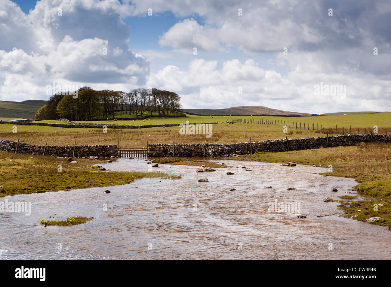 UK, England, Yorkshire, Malham, water flowing from Tarn before