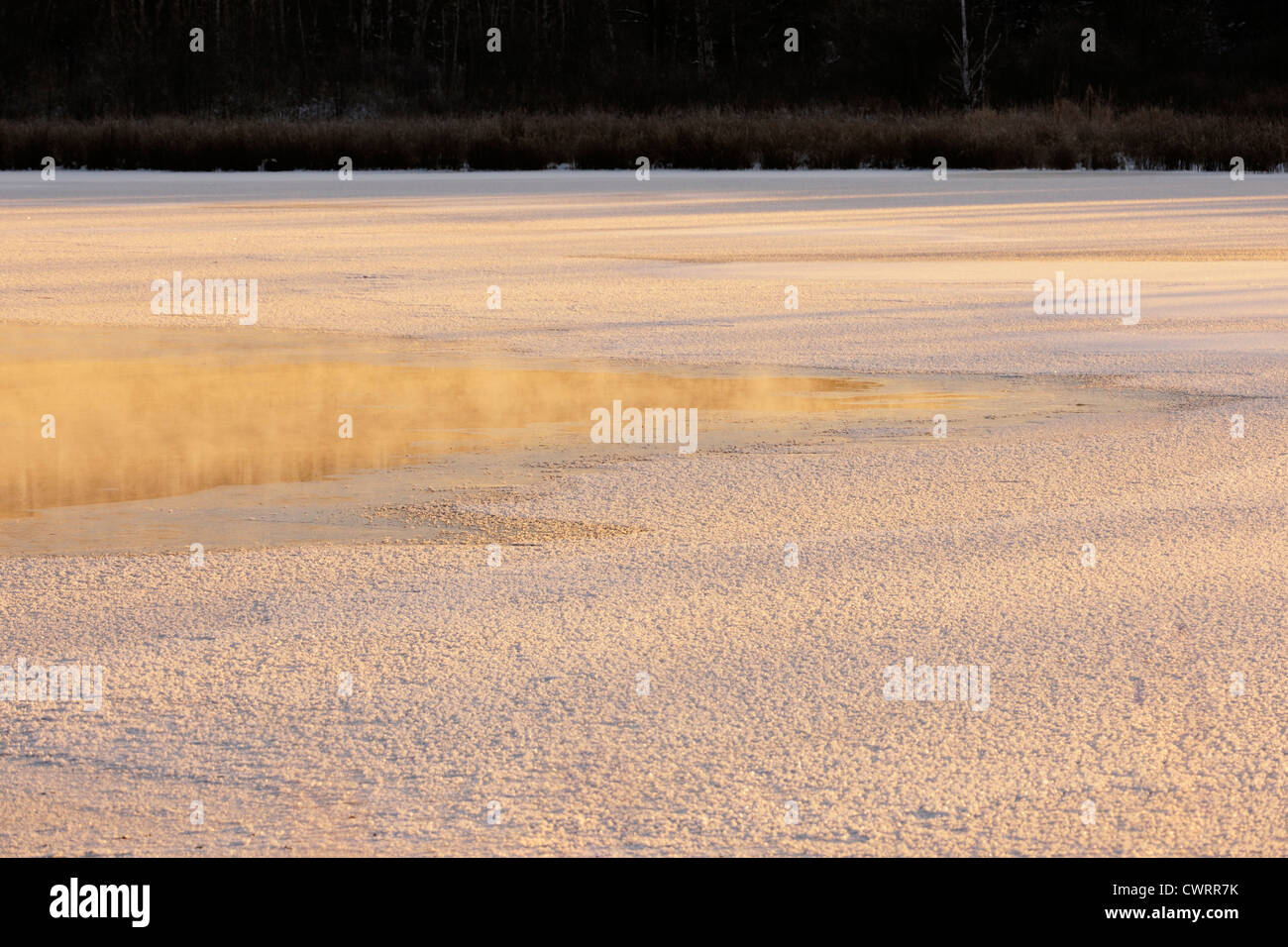 Fresh ice and frost on Kelly Lake at freeze-up, Greater Sudbury, Ontario, Canada Stock Photo
