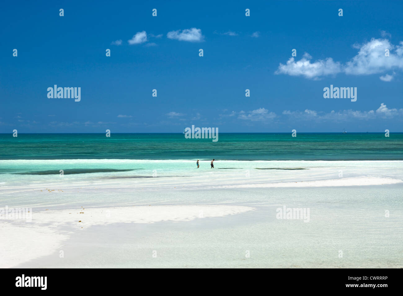 SANDSPUR BEACH BAHIA HONDA STATE PARK BAHIA HONDA KEY FLORIDA USA Stock