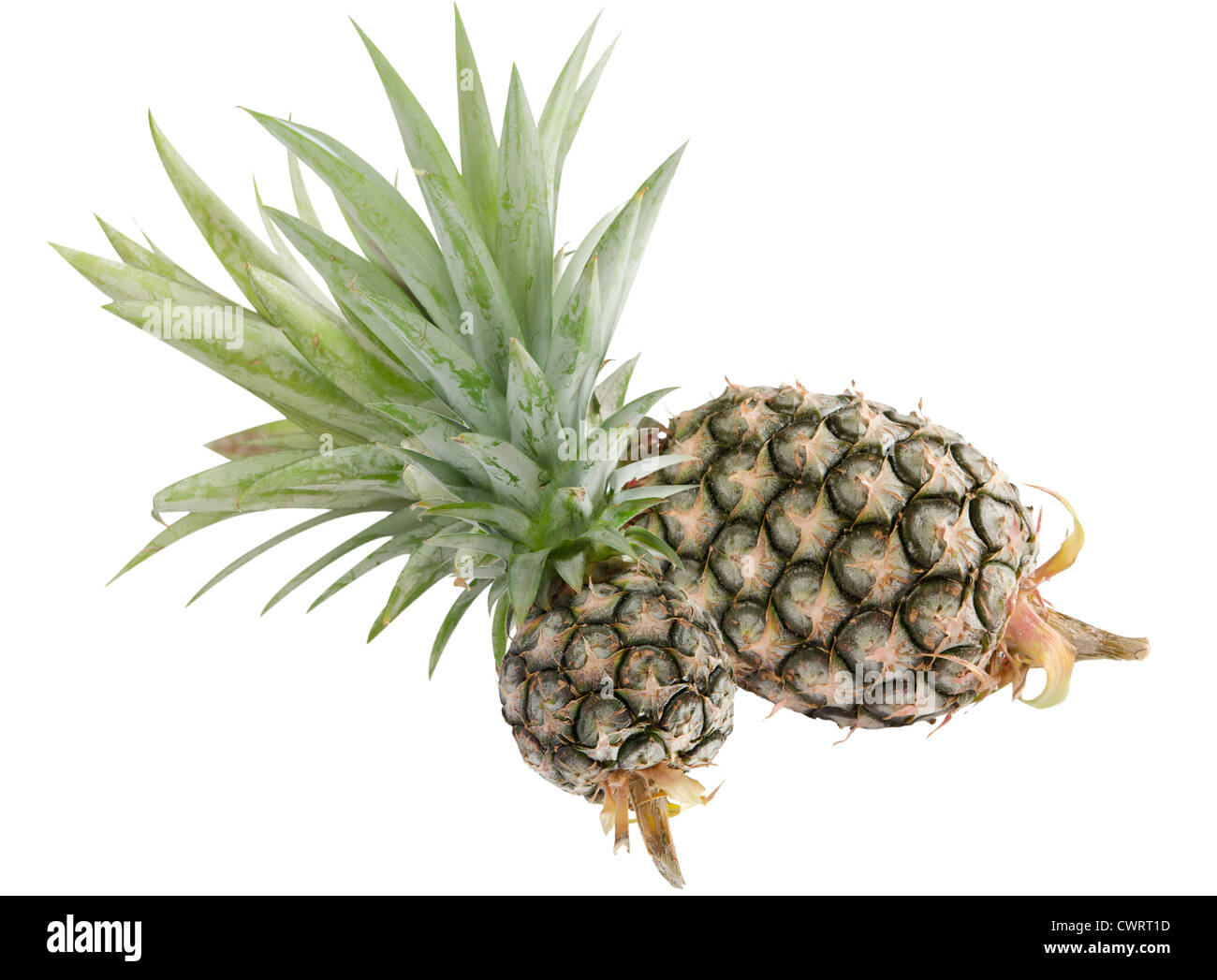 fresh pineapple on white background Stock Photo