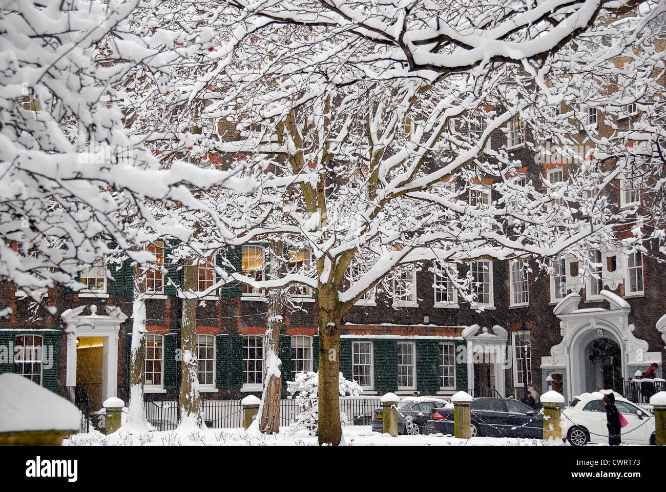 Snow-covered trees in New Square, London Stock Photo