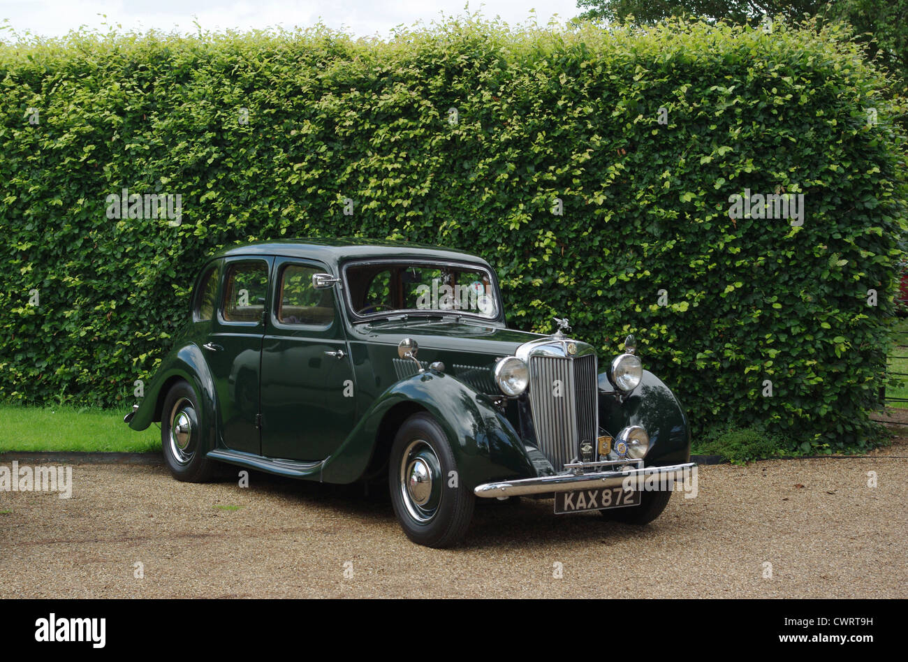 Vintage MG saloon in racing green against an evergreen hedge. Stock Photo