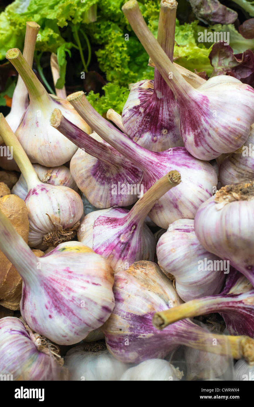 Cloves of Garlic on sale at the English Market, Cork City, Republic of Ireland. Stock Photo