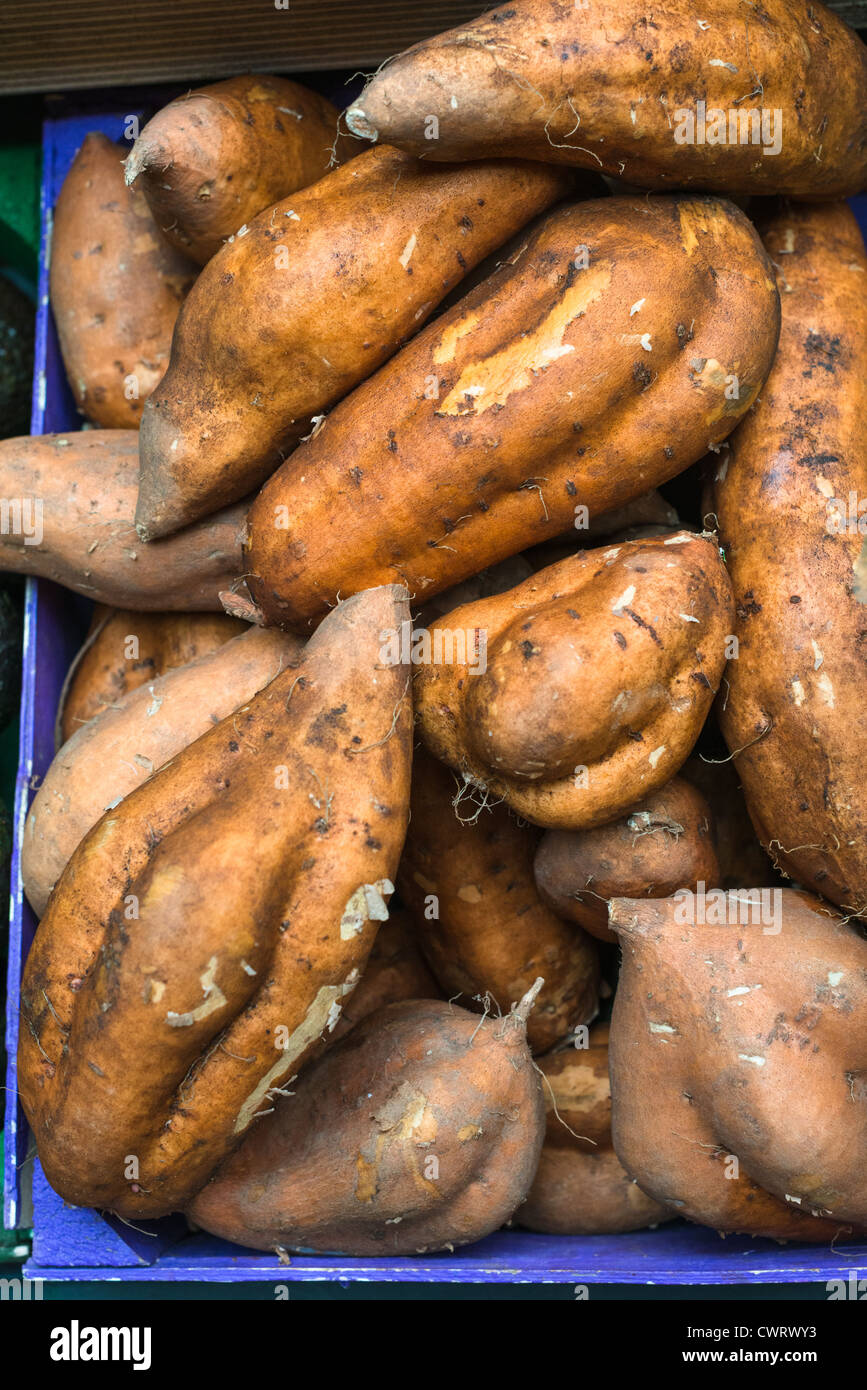 Sweet potatoes or Yams Stock Photo Alamy
