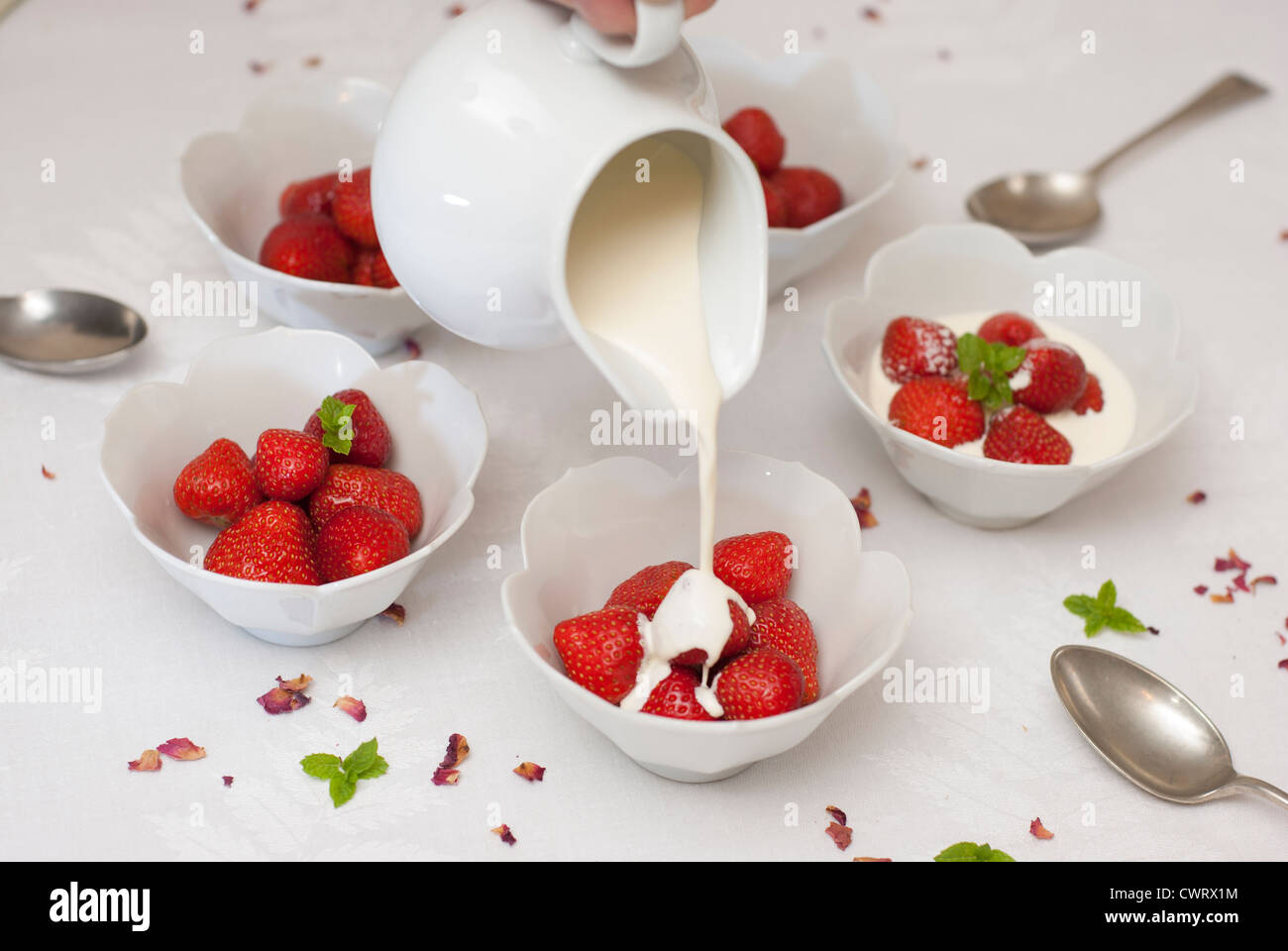 Waiter pouring cream onto dessert hires stock photography and images Alamy