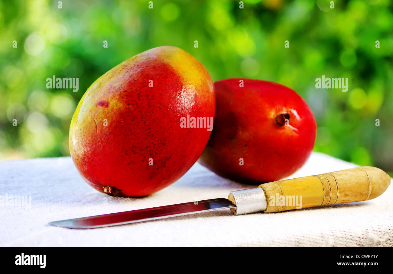 Two mangoes fruits and knife Stock Photo Alamy