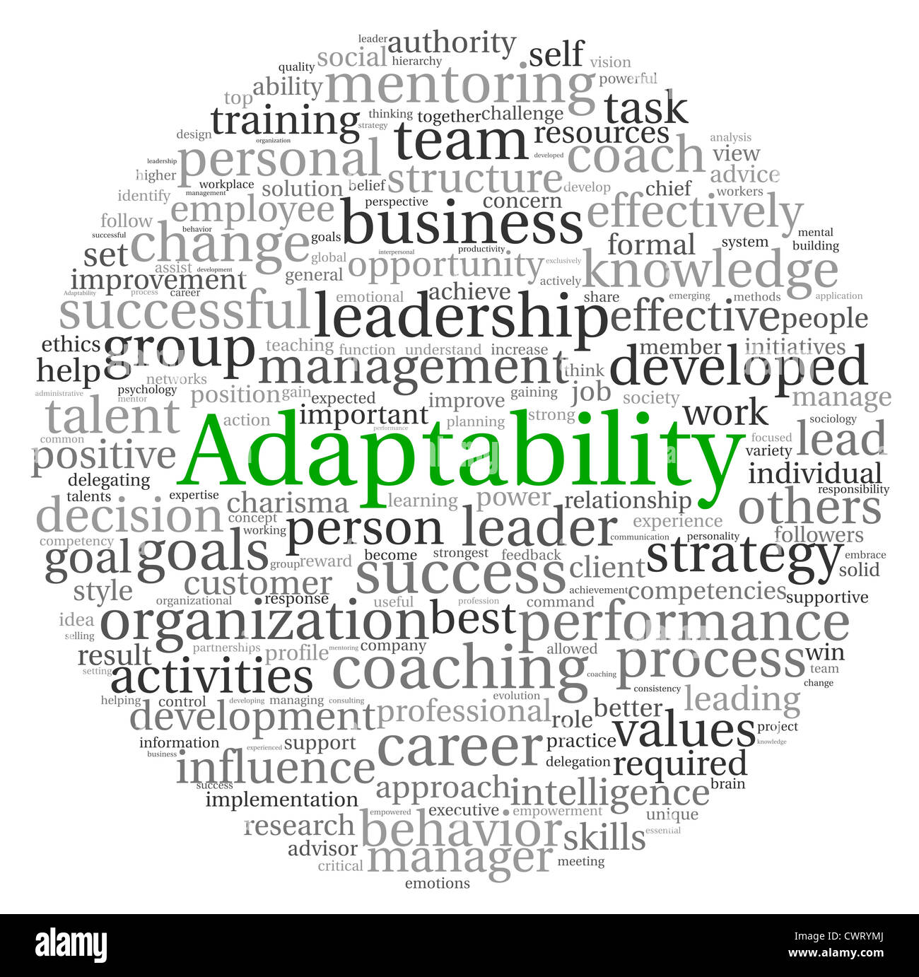 Adaptability concept in word tag cloud on white background Stock Photo