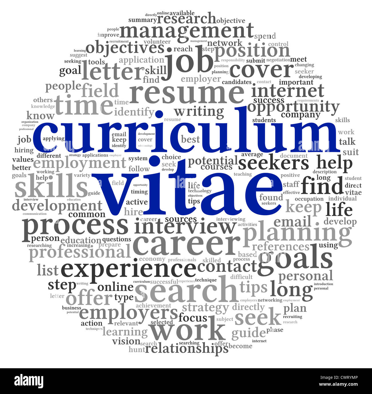 Curriculum Vitae Cv Concept In Word Tag Cloud On White Background
