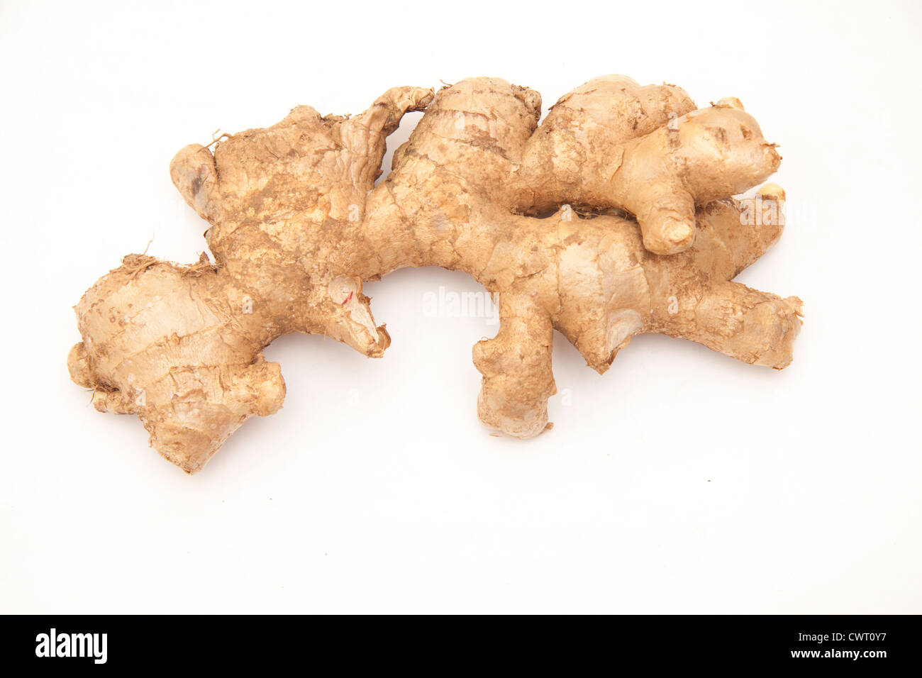 fresh,ginger,spice,roots,closeup,cutout,isolated,white,food,raw,macro, Stock Photo