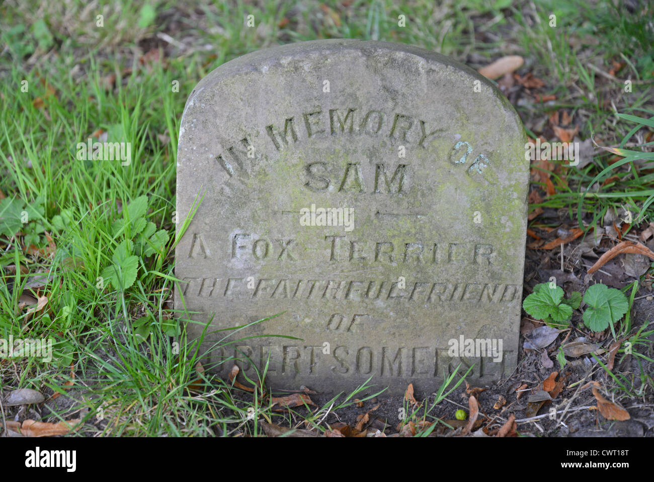pet cemetery headstones