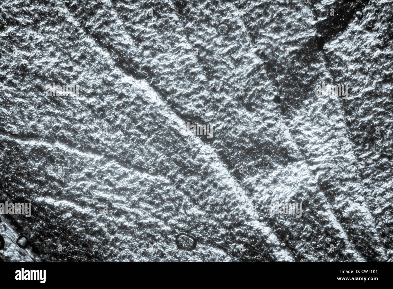 science micrograph insect wing detail texture micro Stock Photo - Alamy