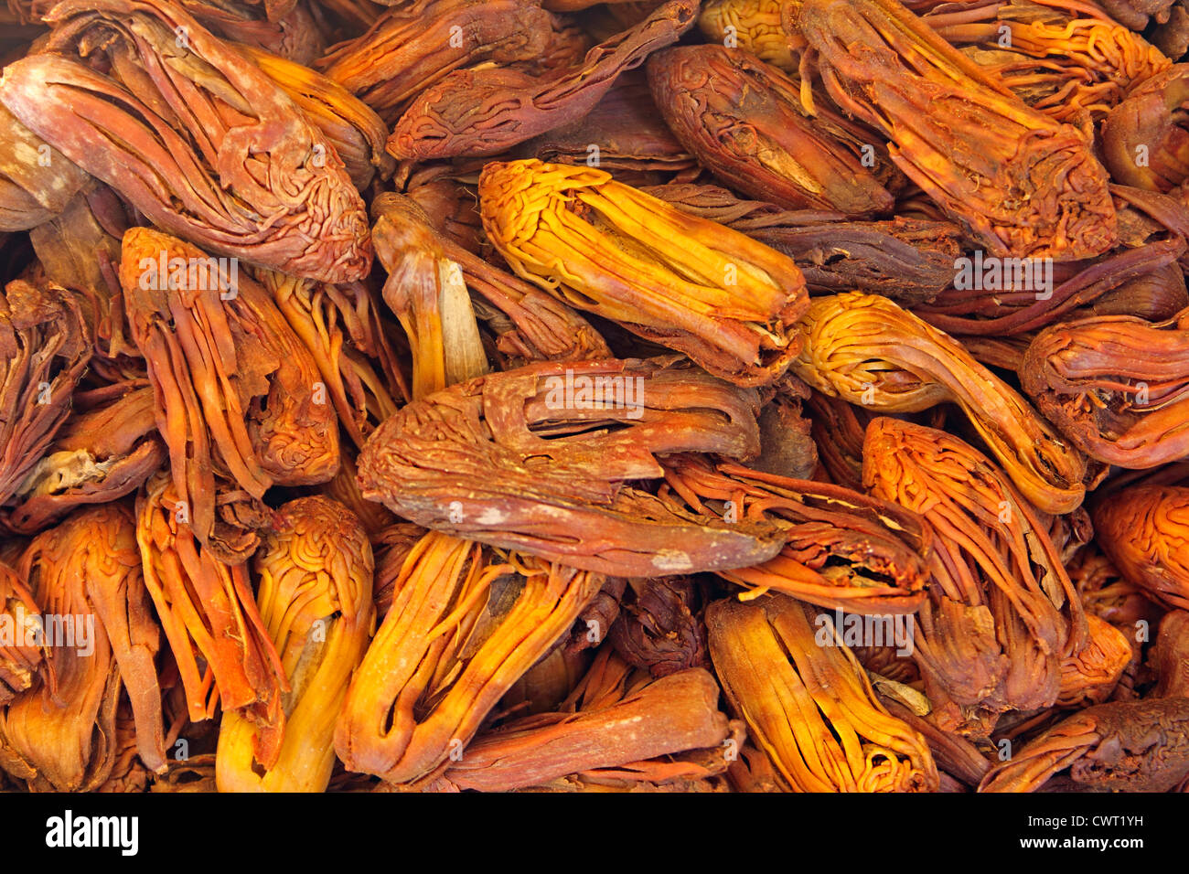 Mace spice made from dried fleshy covering of nutmeg seed Stock Photo