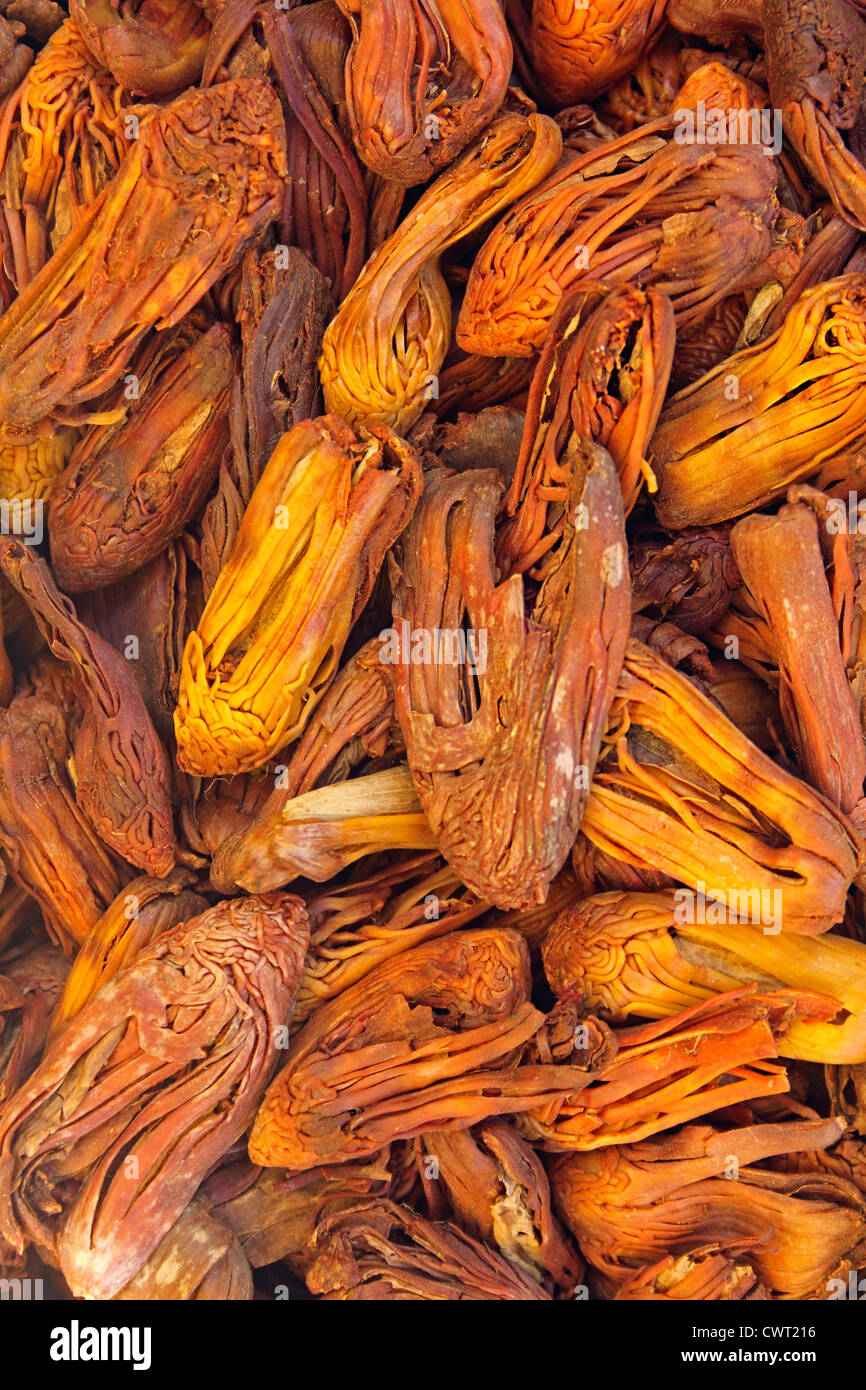 Mace spice made from dried fleshy covering of nutmeg seed Stock Photo