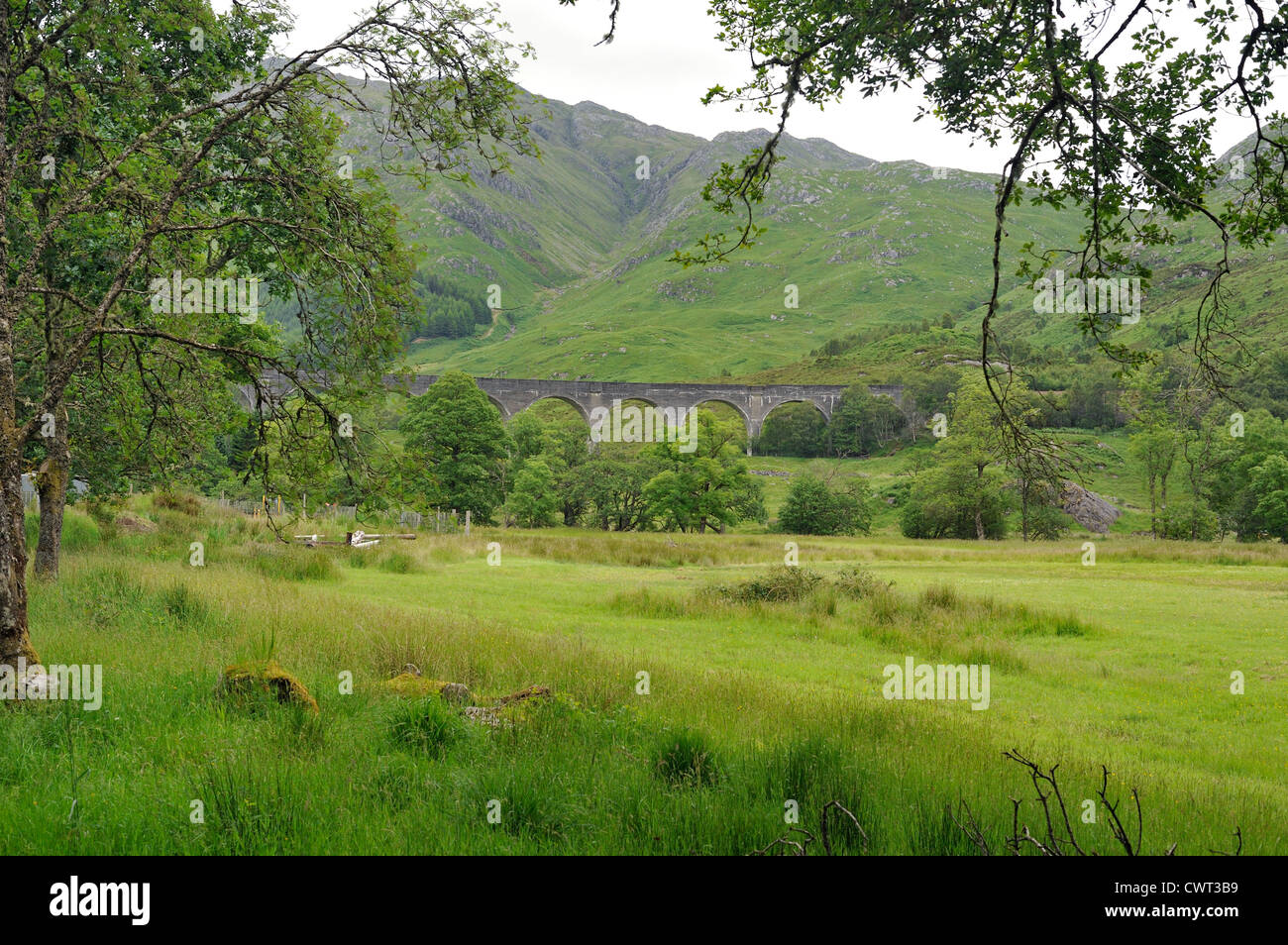 View glenfinnan viaduct through trees hires stock photography and