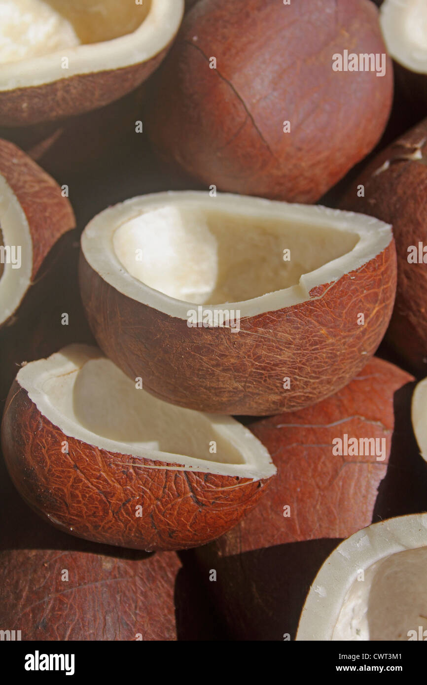Dry coconut (Cocos nucifera), used in cooking and for oil Stock Photo