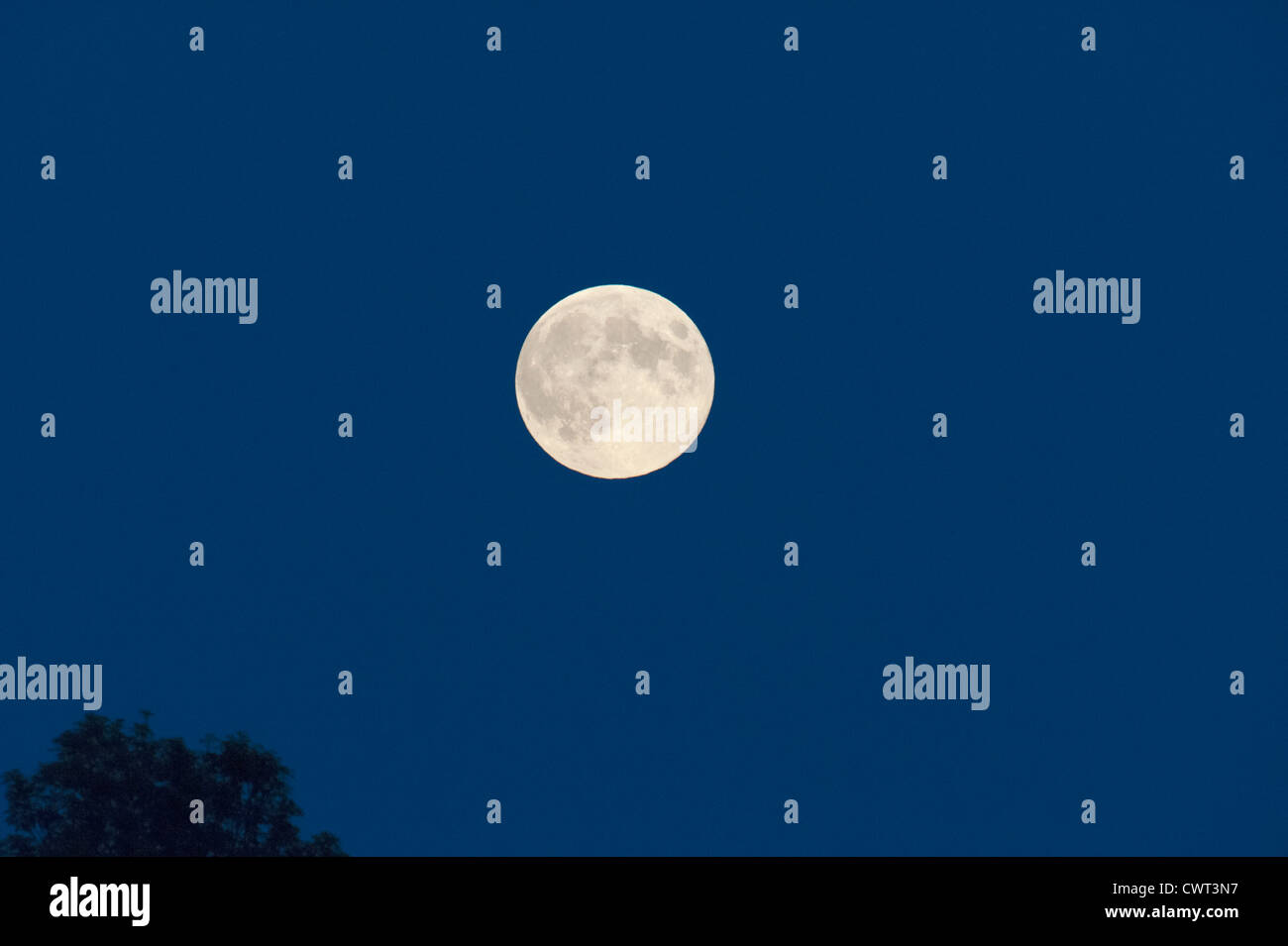 Full moon in july Stock Photo Alamy