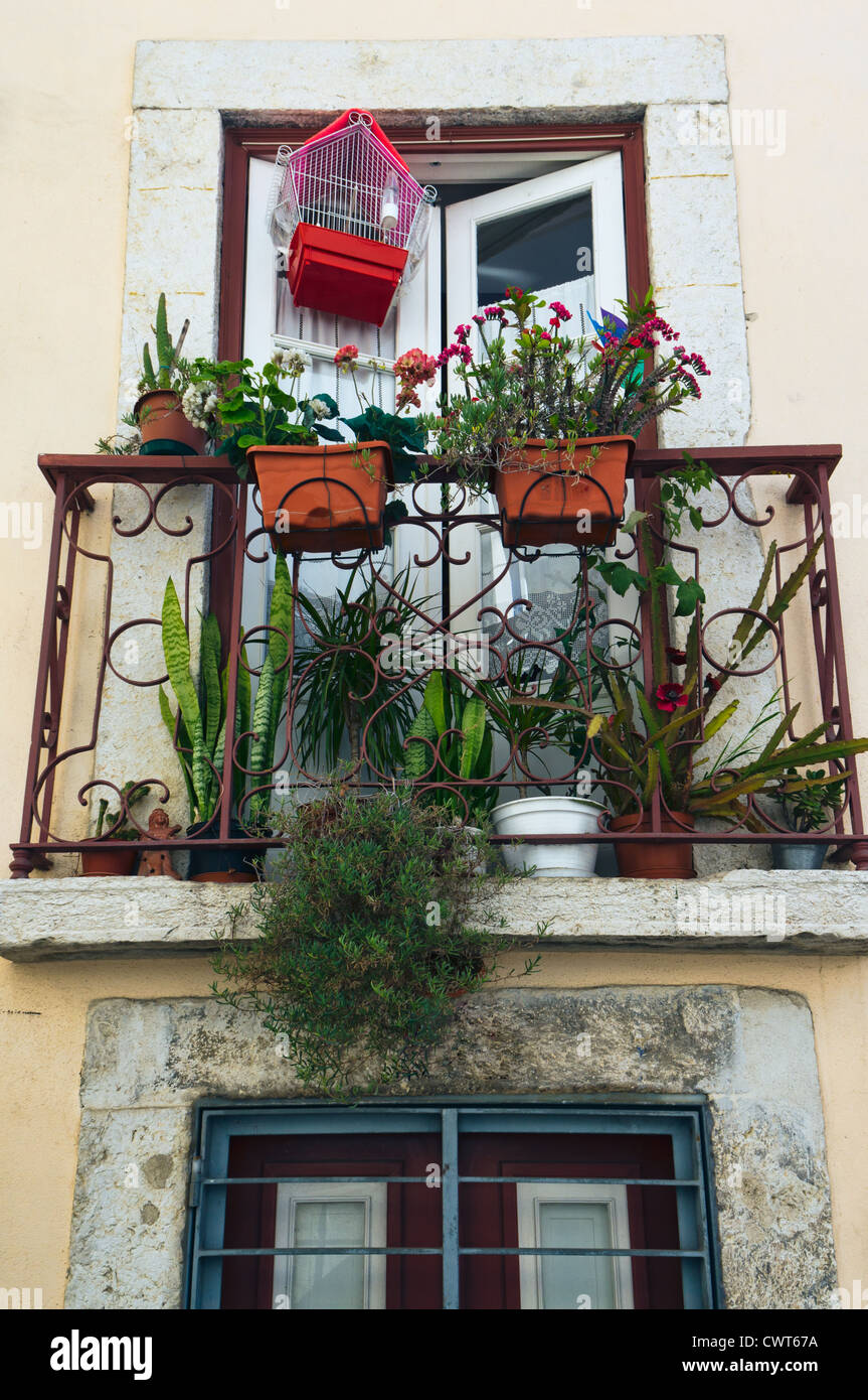 Flowery balcony in Alfama, an old neighborhood in Lisbon, Portugal. Stock Photo
