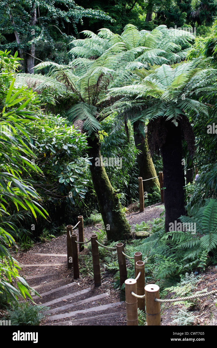 The Lost Gardens of Heligan Stock Photo Alamy