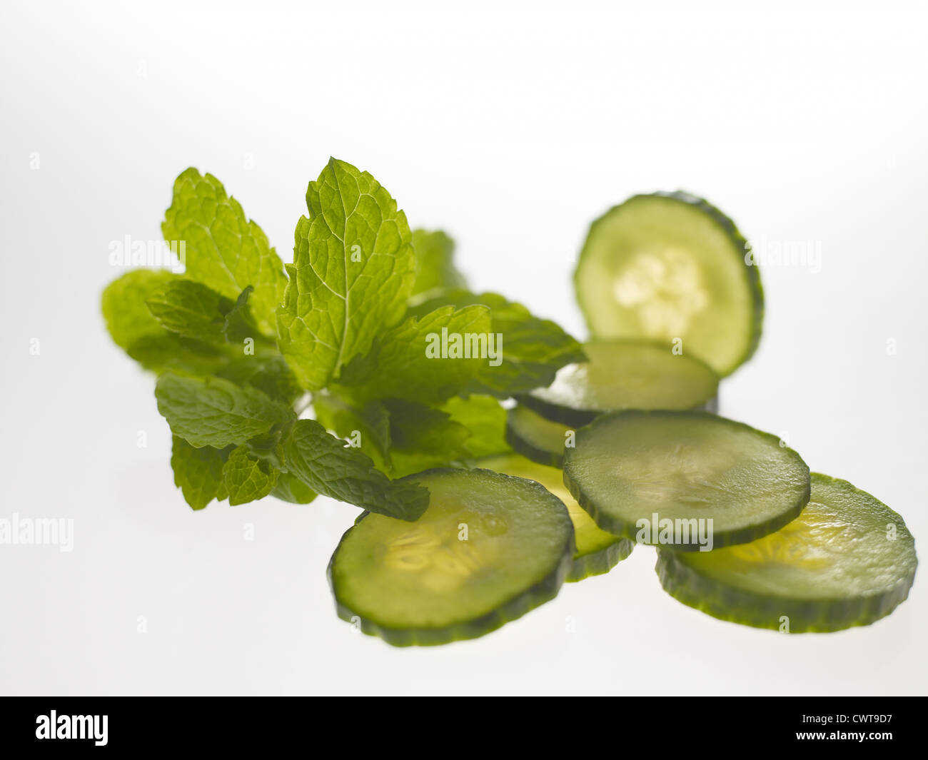 Mint leaves and slices of cucumber Stock Photo