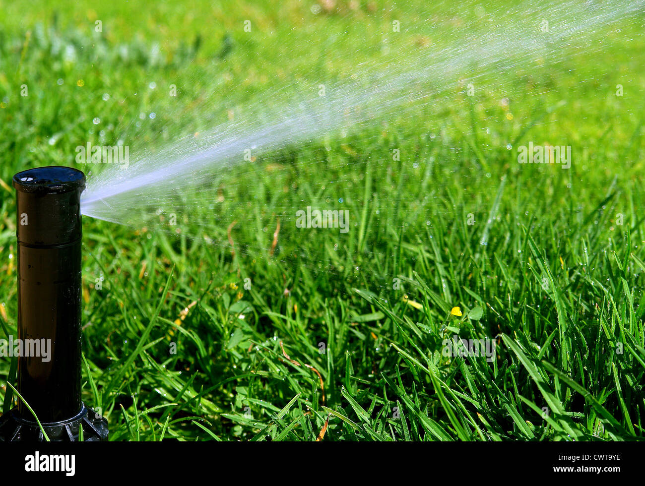 Rotating sprinkler over lawn Stock Photo Alamy