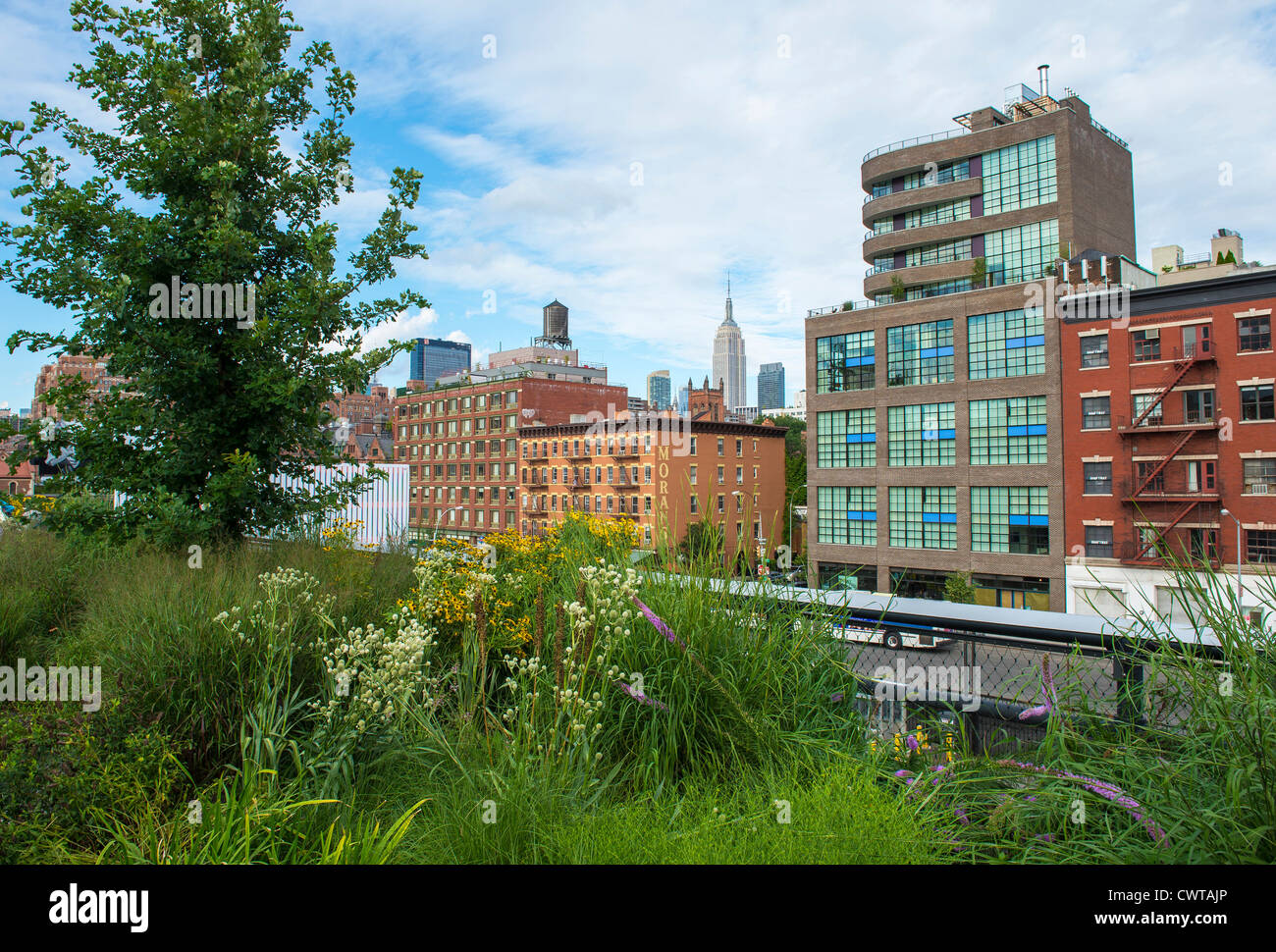 High Line Park in NYC Stock Photo