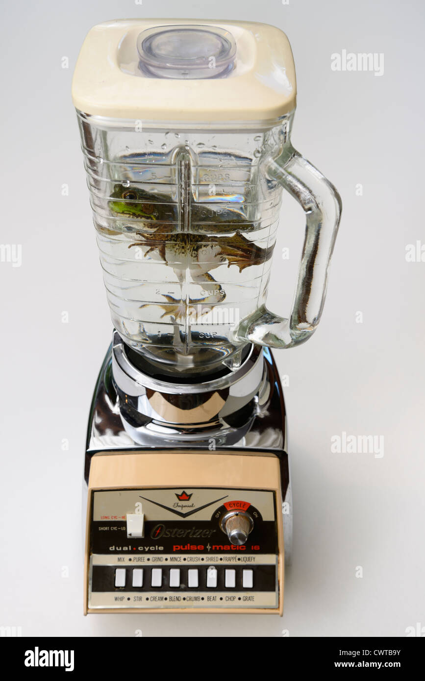 Frog trapped in a antique blender representing the vulnerability of some species to extinction Stock Photo