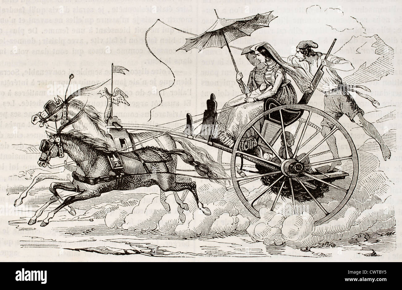 Neapolitan horse hi-res stock photography and images - Alamy