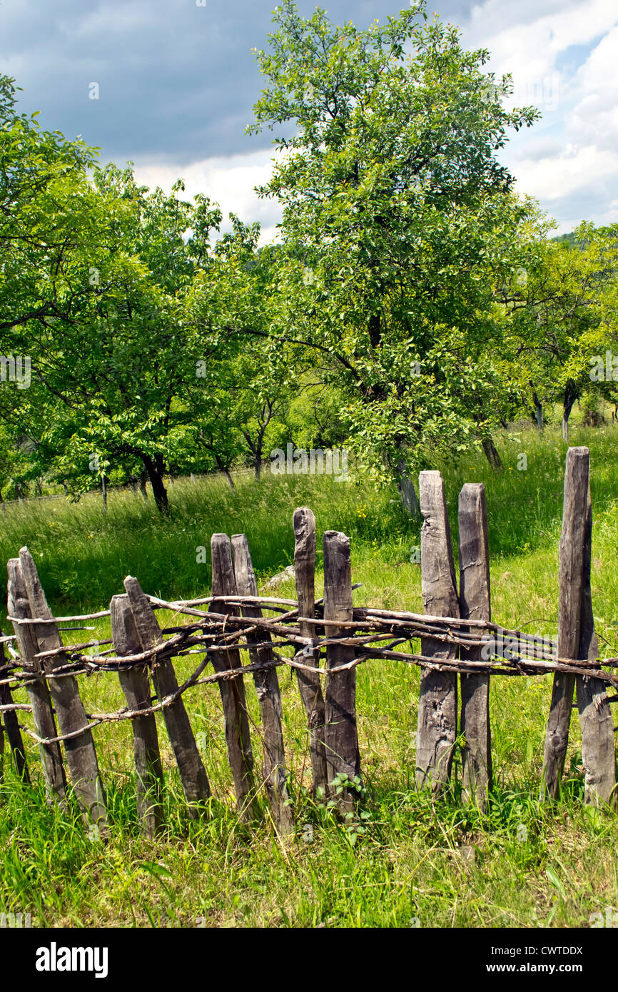Old wooden fence in village with orchard behind Stock Photo - Alamy