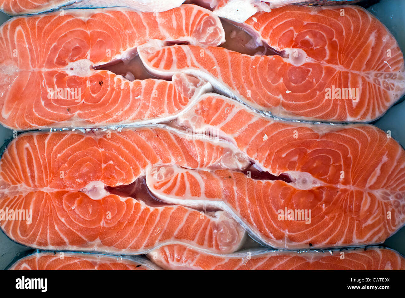salmon on ice Stock Photo Alamy