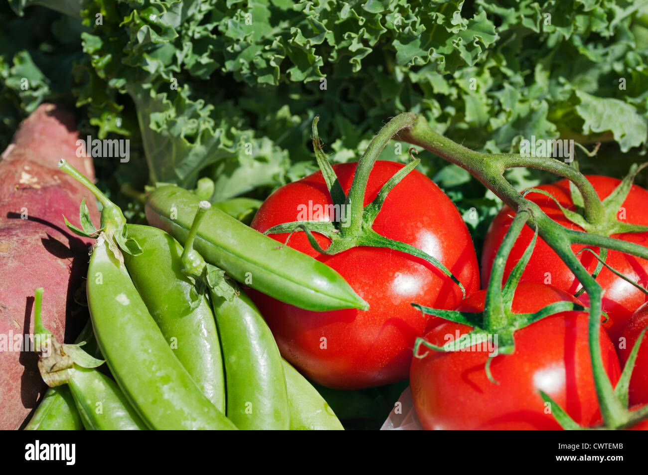A variety of fresh organic produce on display at a farmer's market in the summer. Stock Photo