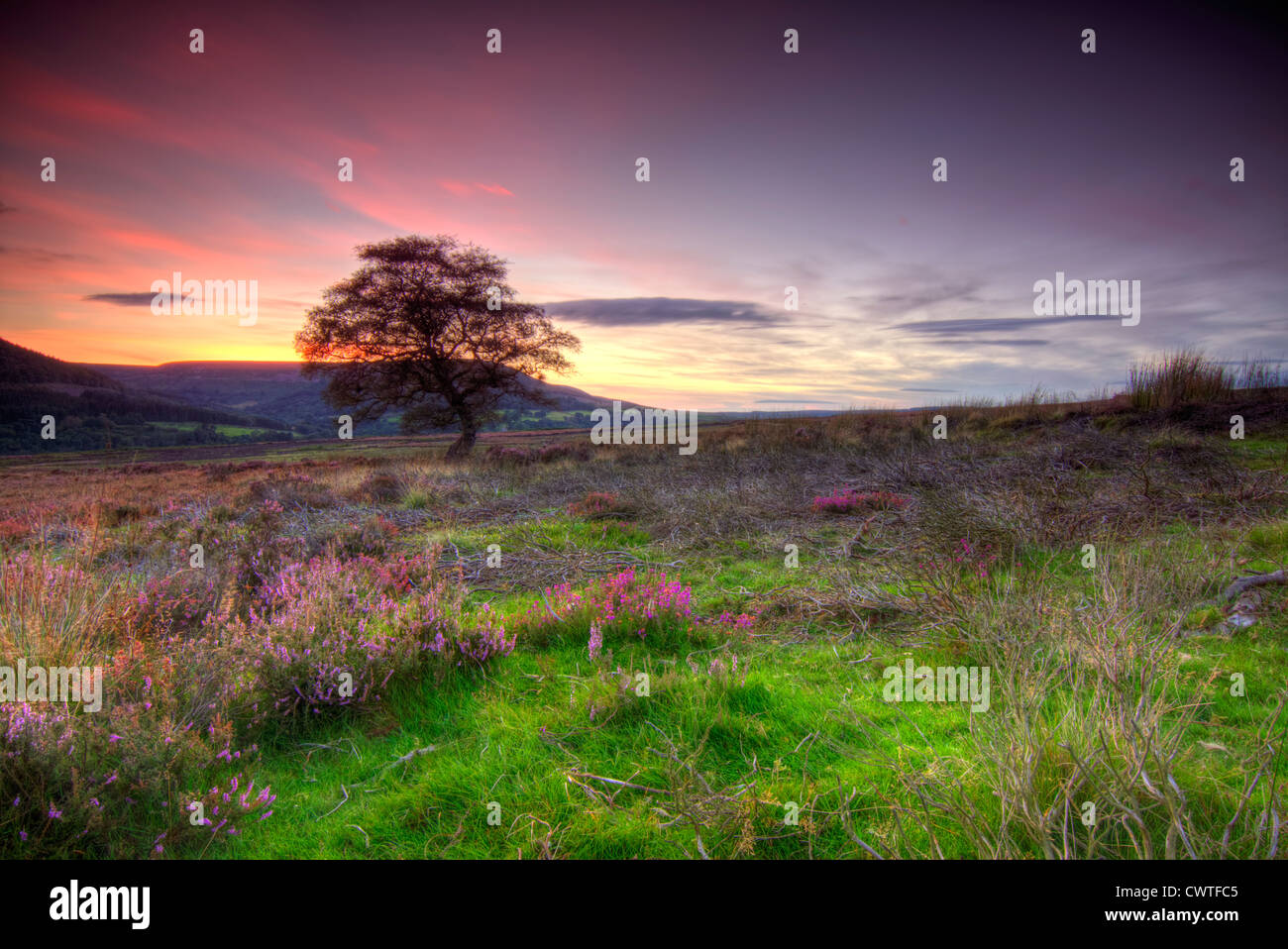 Up on the Yorkshire Moors at Sunset, near Hawnby. Stock Photo