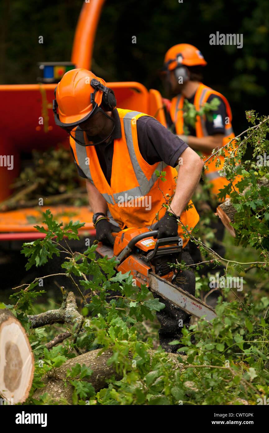 Foresters two men not loggers hires stock photography and images Alamy