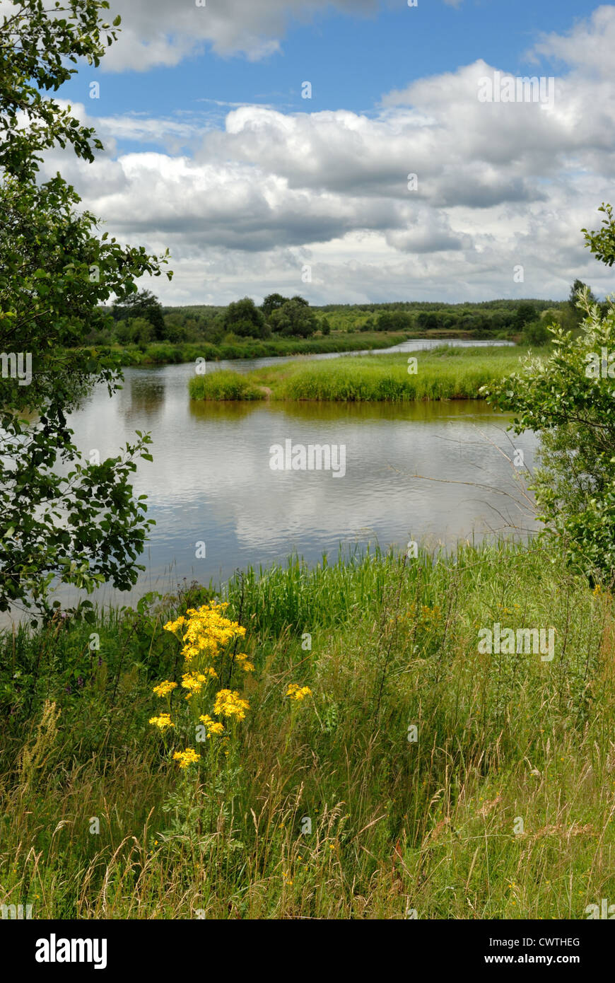 The river with island, a grass on coast, clouds in the sky and their reflexion in water. Stock Photo