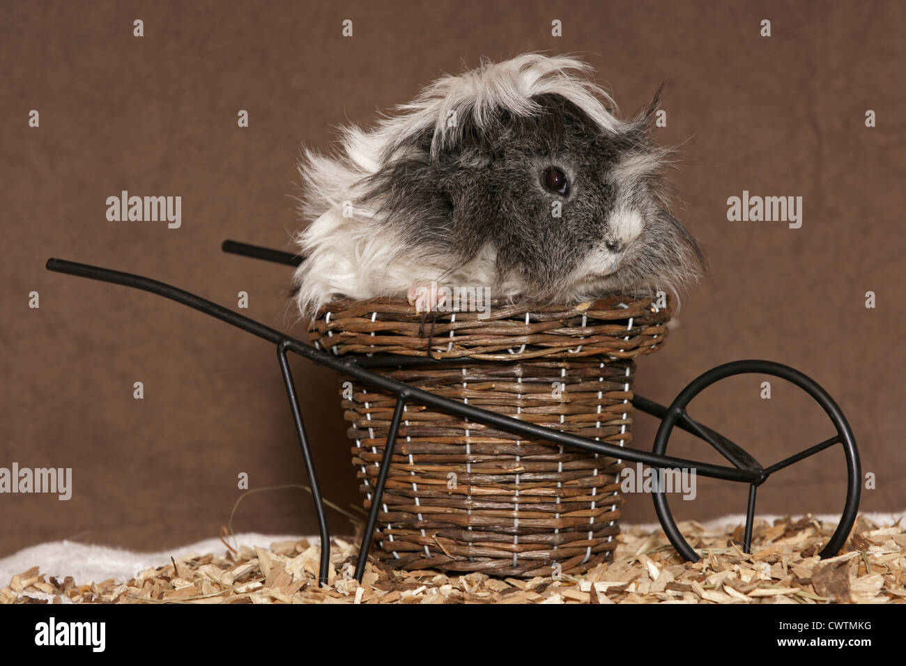 Wood chip baskets hires stock photography and images Alamy