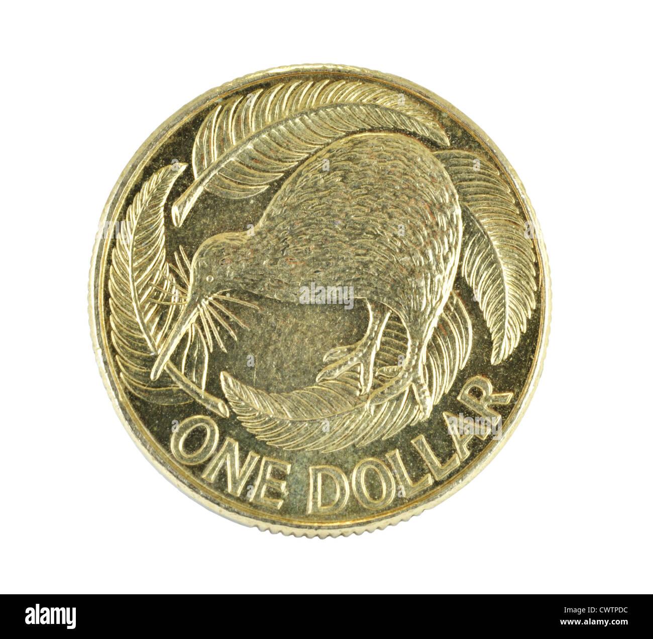 New Zealand One Dollar Coin Stock Photo Alamy